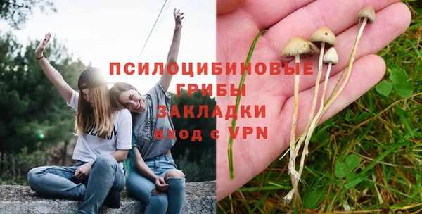 гидропоника Бронницы