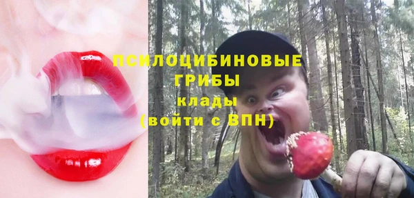 гидропоника Бронницы