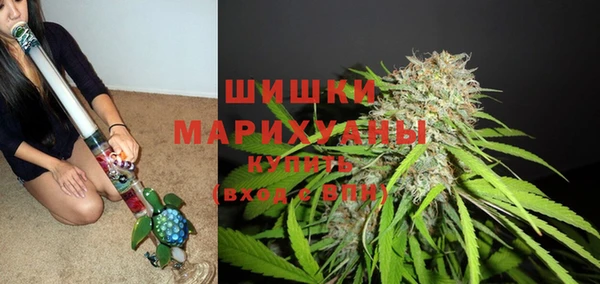 молекула духа Верхний Тагил